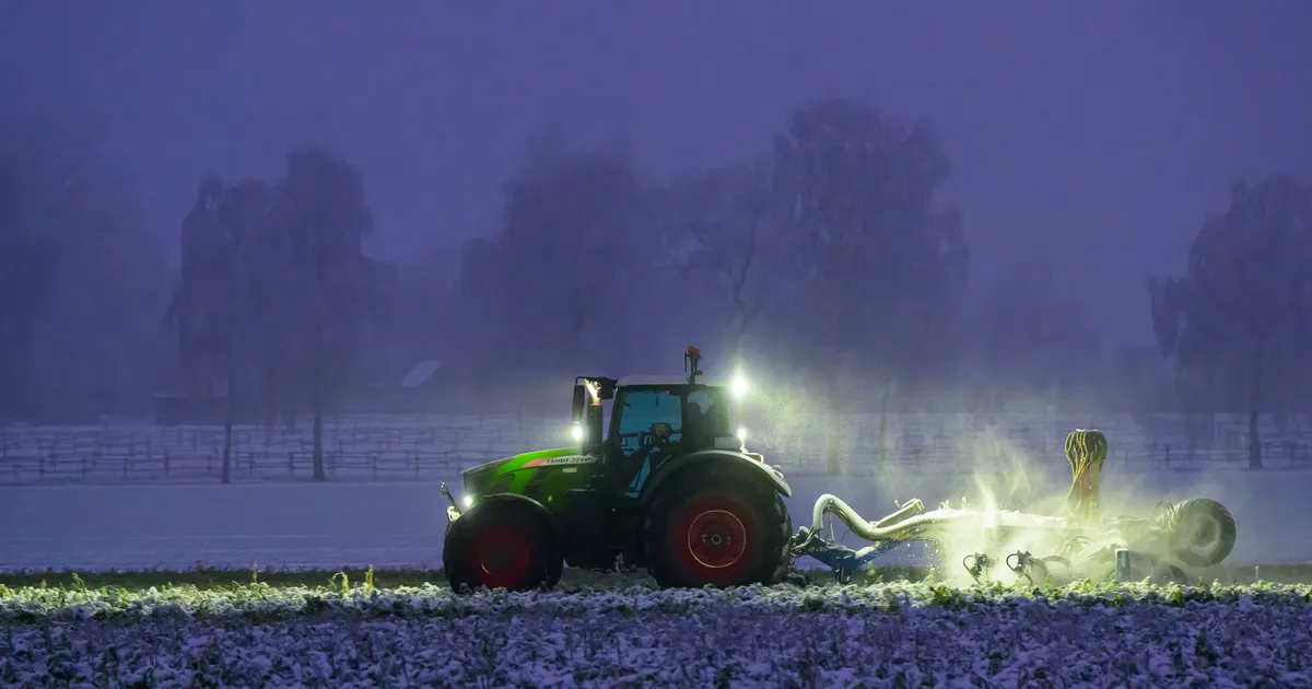 Leedu valitsus kuulutas öökülmade tõttu välja eriolukorra