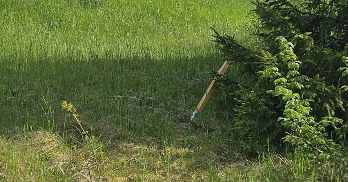 KES NÄPPAS? ⟩ Viljandimaal jäi pikanäpumeestele ette omapärane silt: vargani viiva info eest anname kasti maasikaid