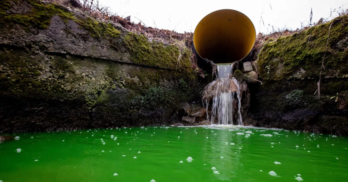 Ravimitootjad paluvad riigil asulareovee puhastamise direktiiv peatada