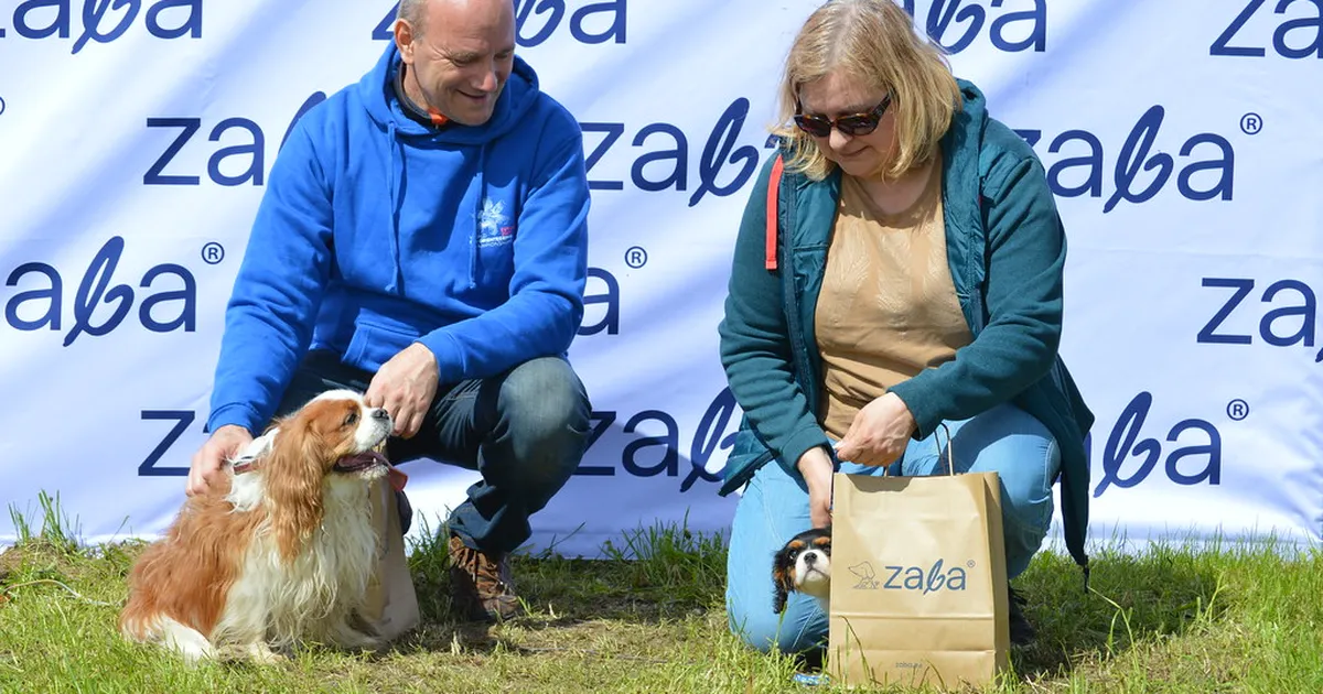 VAHVA GALERII ⟩ Tartus toimunud koerte orienteerumispäev tõi kokku üle paarisaja koera