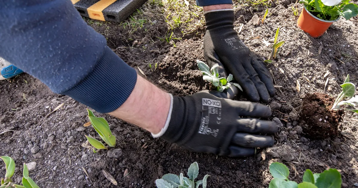 Nii toimides pääsete pärast aiatöid seljavalust