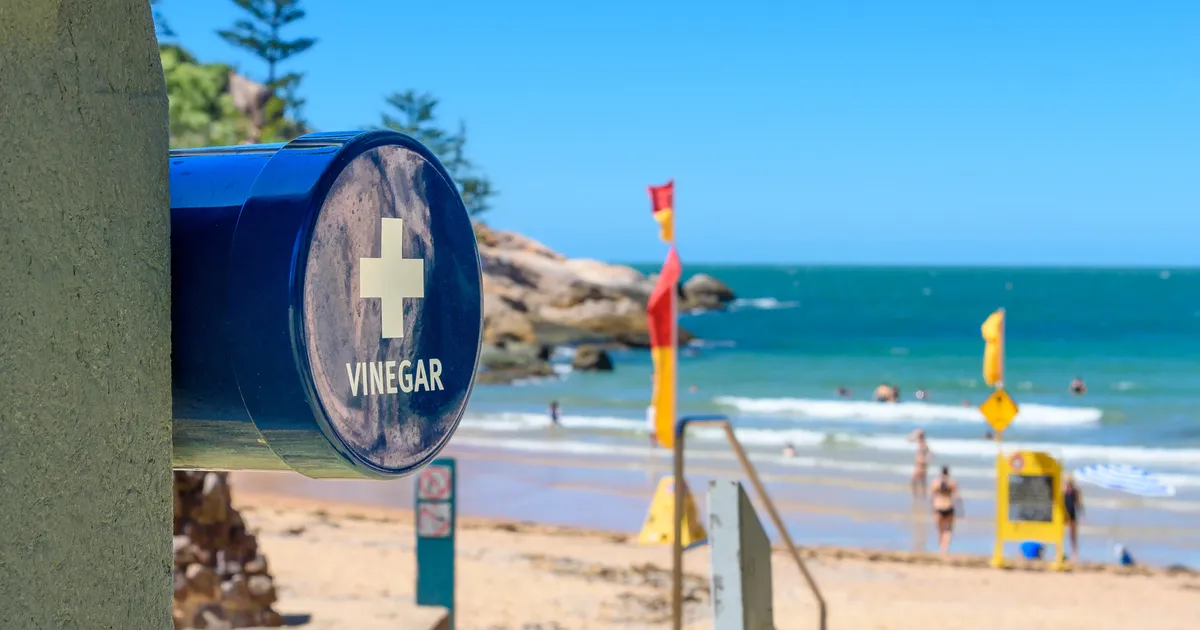 Äädikamahutid rannas – miks austraallased nii teevad