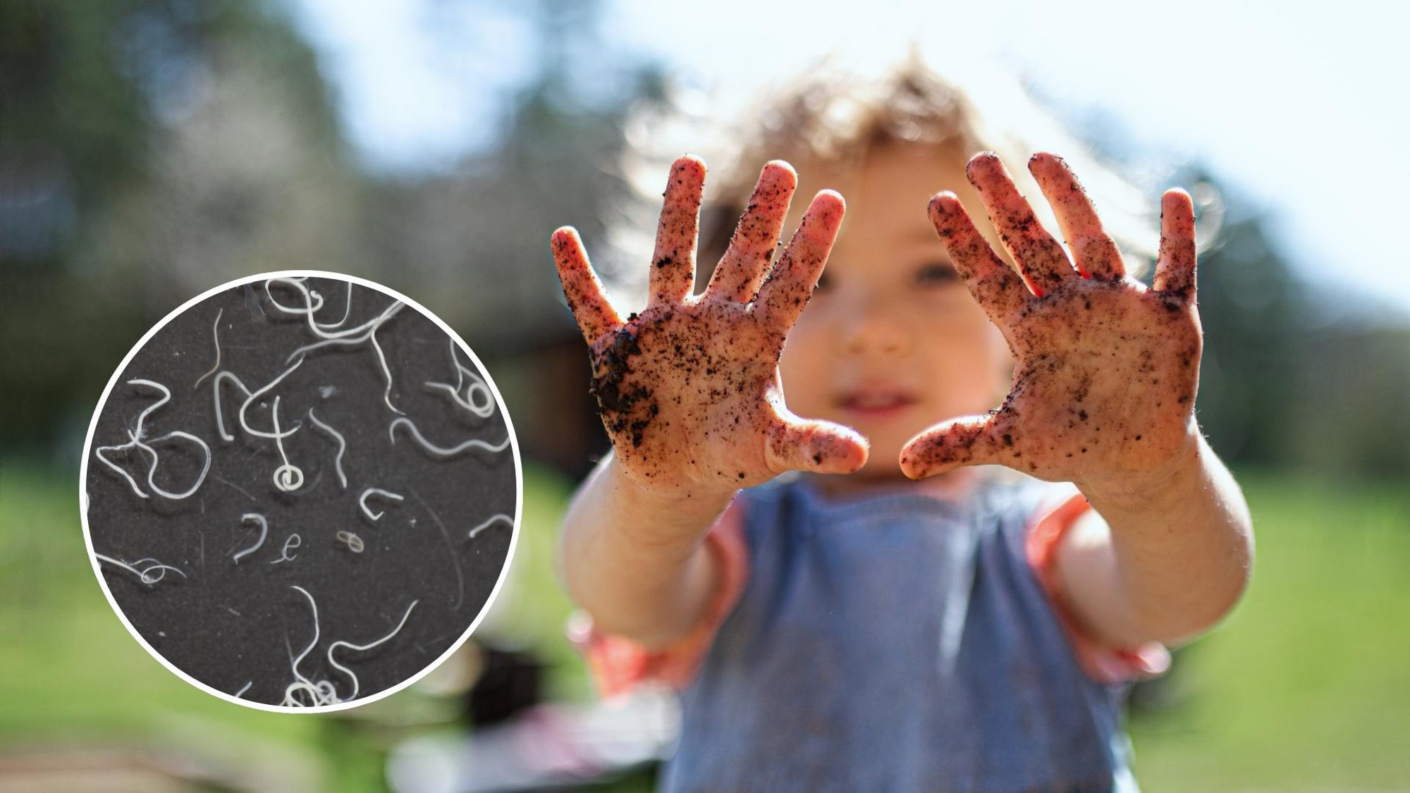 „Kui laps hakkab kurtma, et pepu enne magamajäämist sügeleb, on teada, et jälle ussid.“ Kuidas hoiduda sooleparasiitidest?