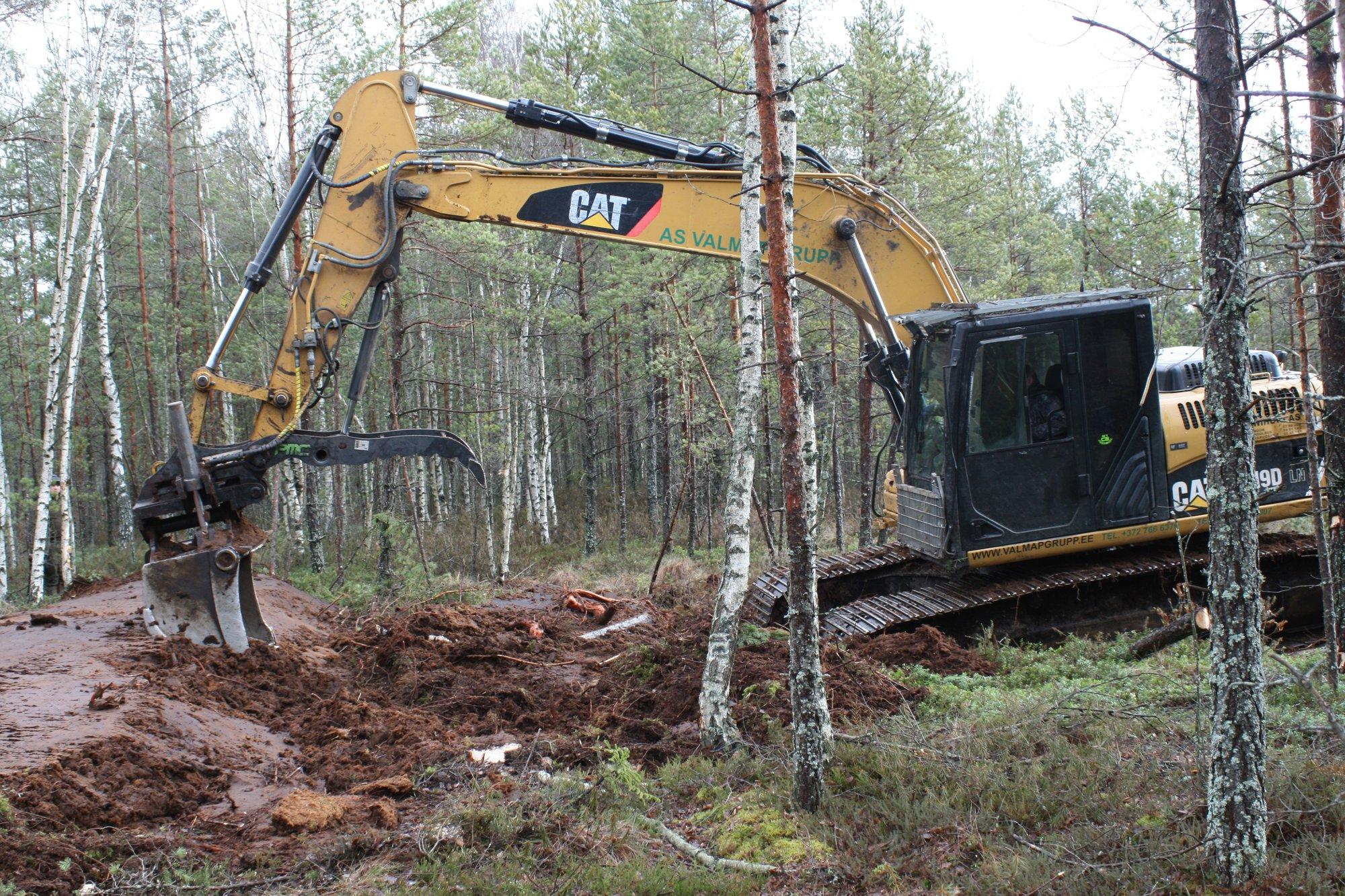 Kuidas soomaastiku taastamisest sai „metsade uputamine“