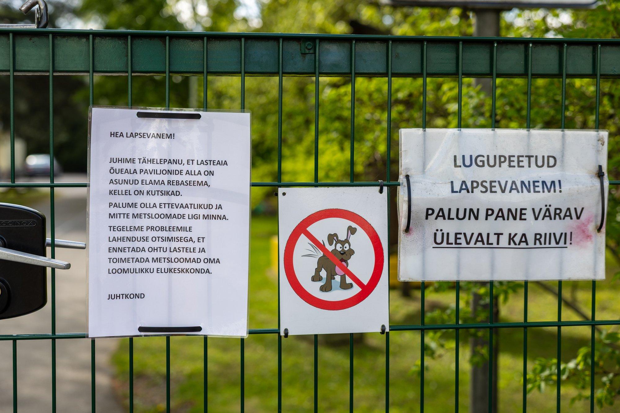 REPLIIK | Krister Paris: oravad mängisid end lasteaiakohtadega eetilisse kahvlisse