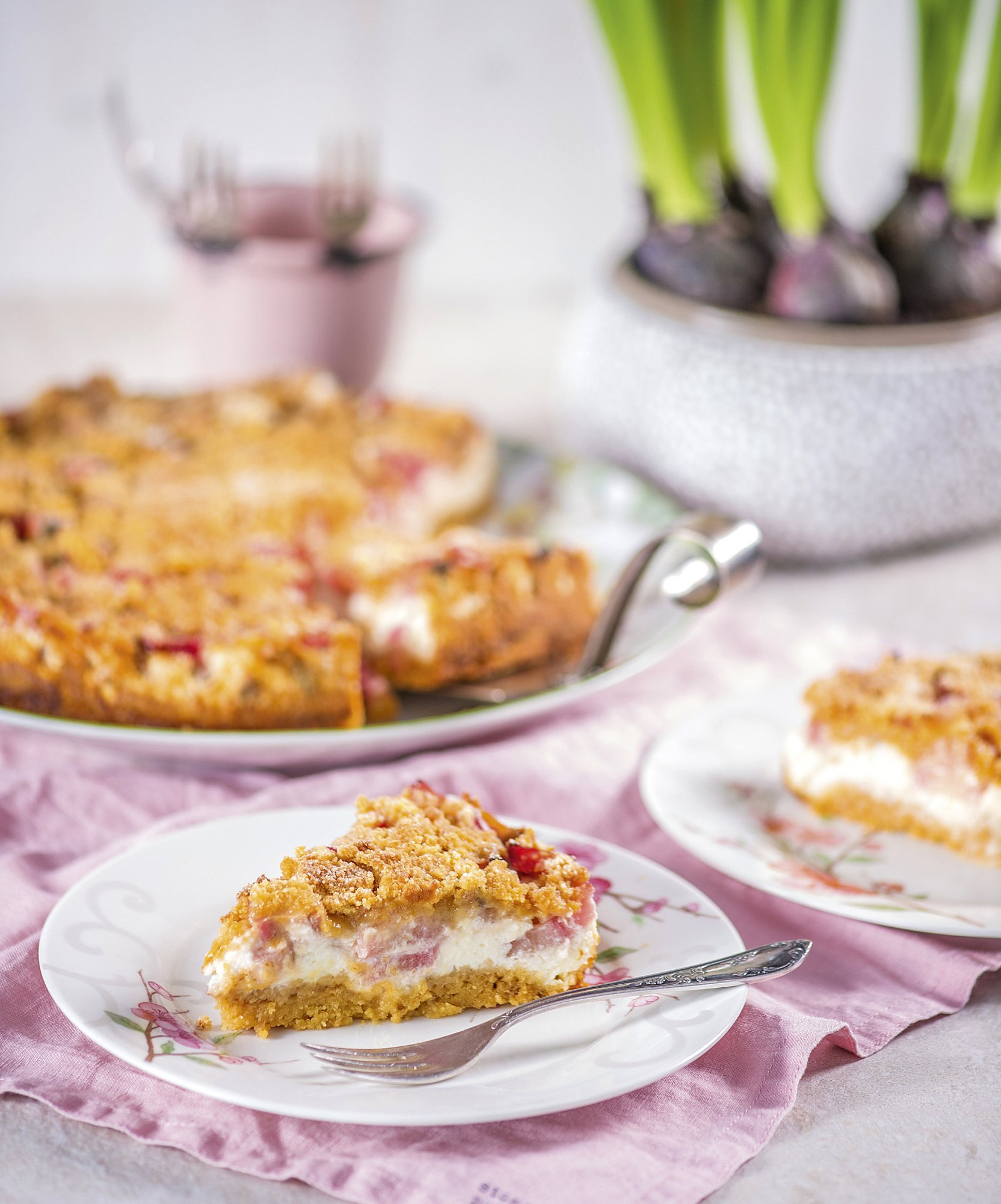 RETSEPT | Eriti lihtne kohupiimakook rabarberiga, mis lõhnab ja maitseb nagu suvi maal vanaema juures