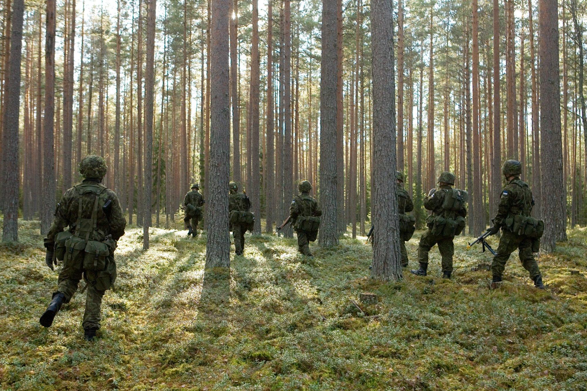 Jaanus Kriisk: Eesti poisid on nõrgad, kaitsevägi pakub lausa raha