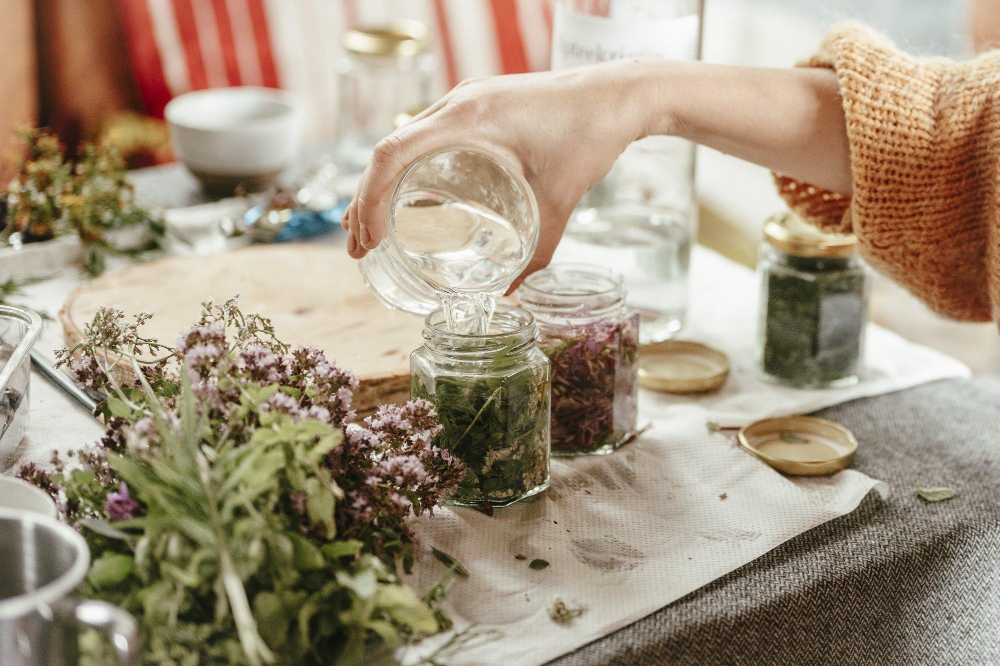 Taimetarkus: kevadine looduse apteek tassikeses
