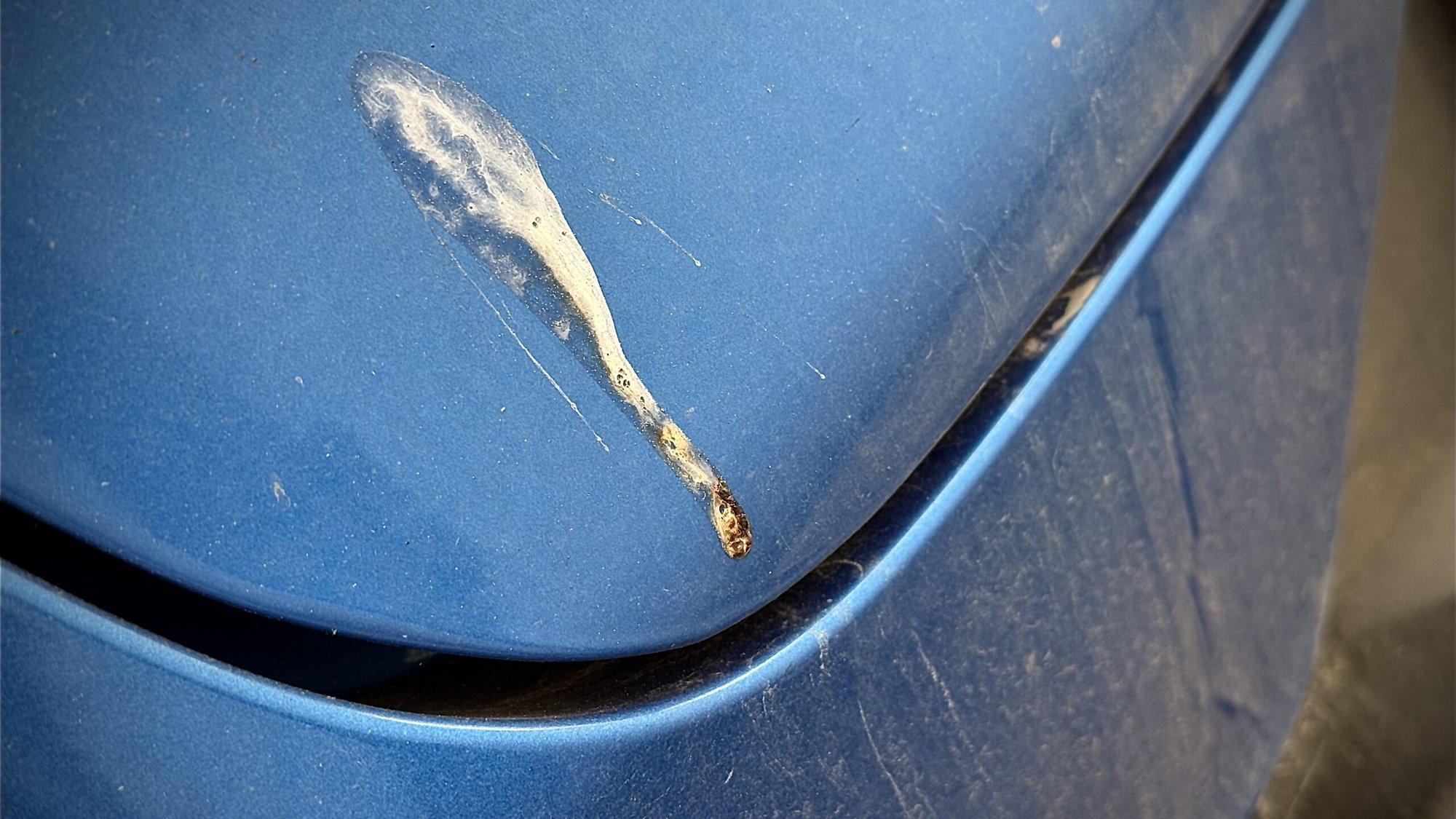 UURING | Lindude väljaheited kahjustavad autovärvi arvatust rohkem