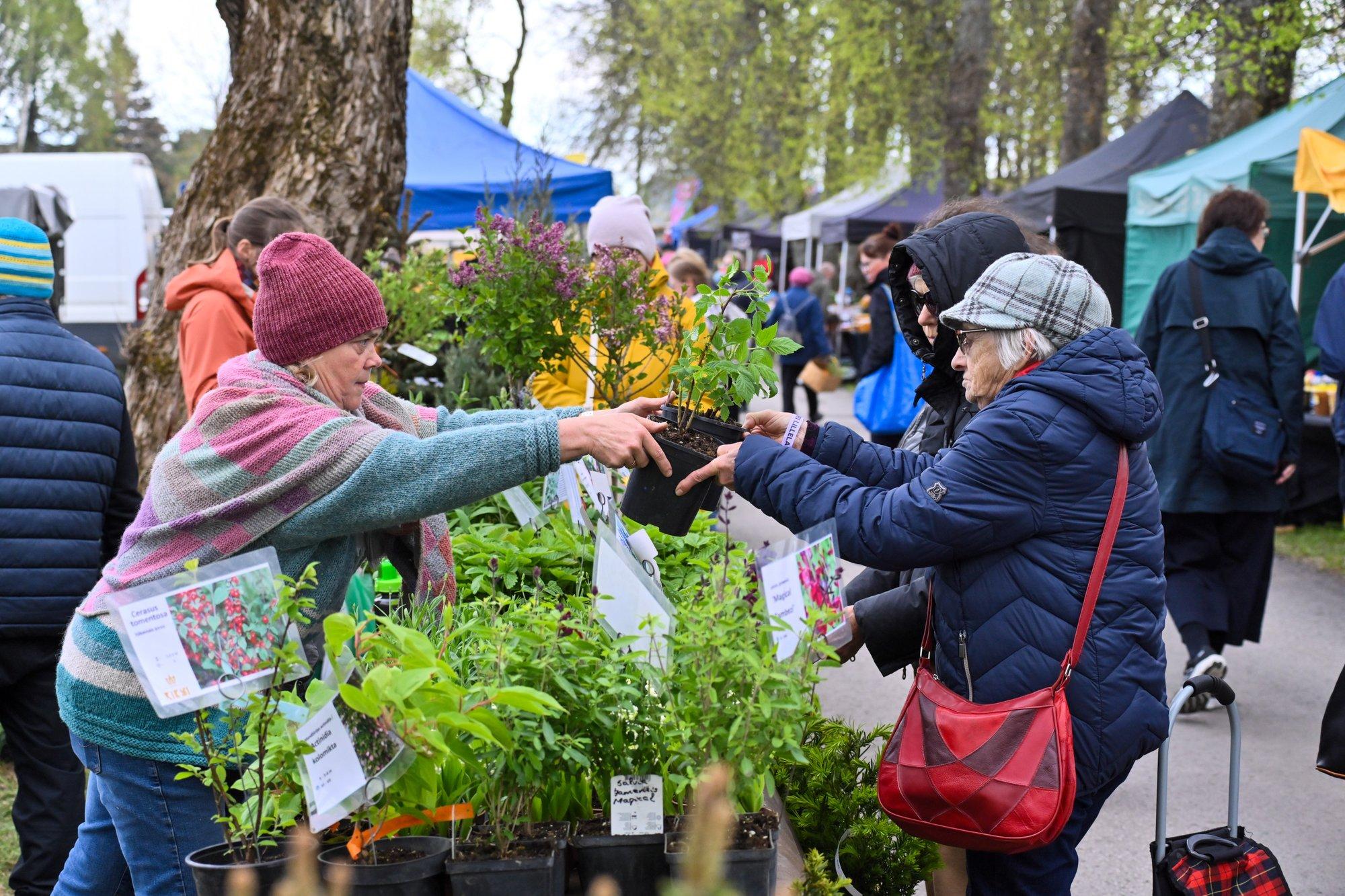 SUUR GALERII | Türi lillelaat sai avapaugu, kauba valik lööb silme eest kirjuks