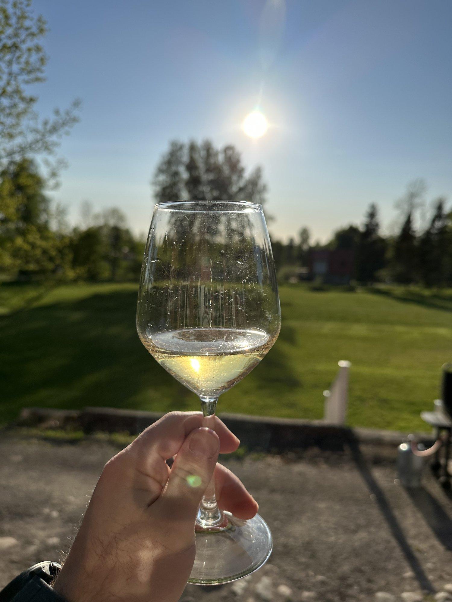 Pista rabarber pudelisse! Veinimõisa perepoeg õpetab, kuidas ise kodus imelist rabarberiveini valmistada