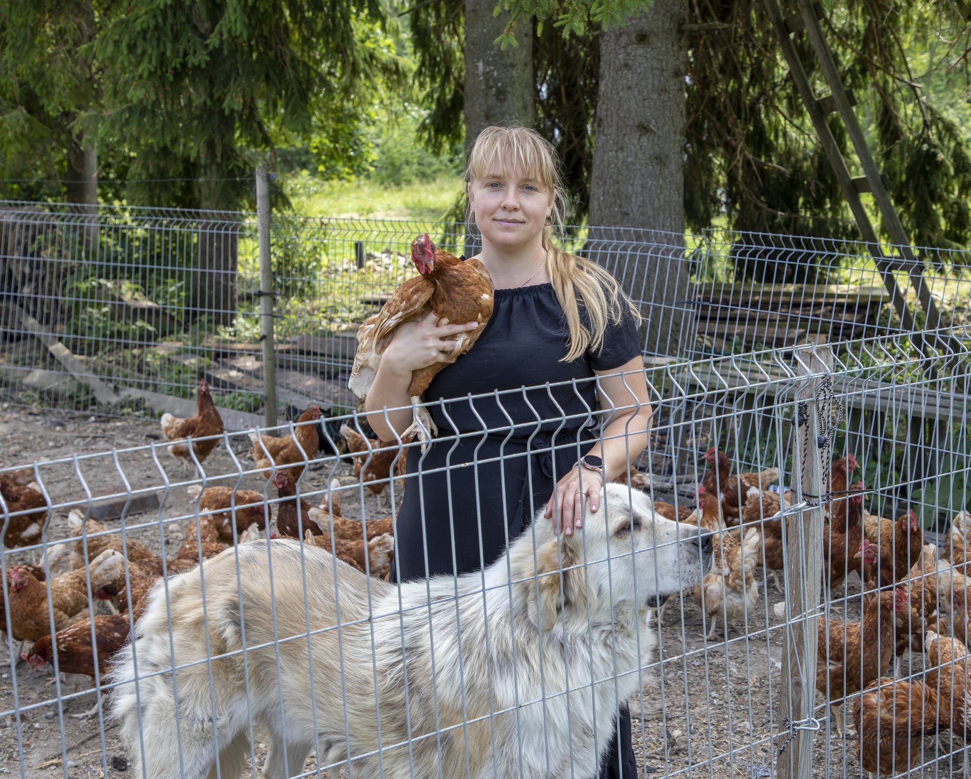 Mirjam Pikkmets: käpuli üheksa pommiga? Et Eesti toiduta ei jääks, tuleb seda hajusalt toota