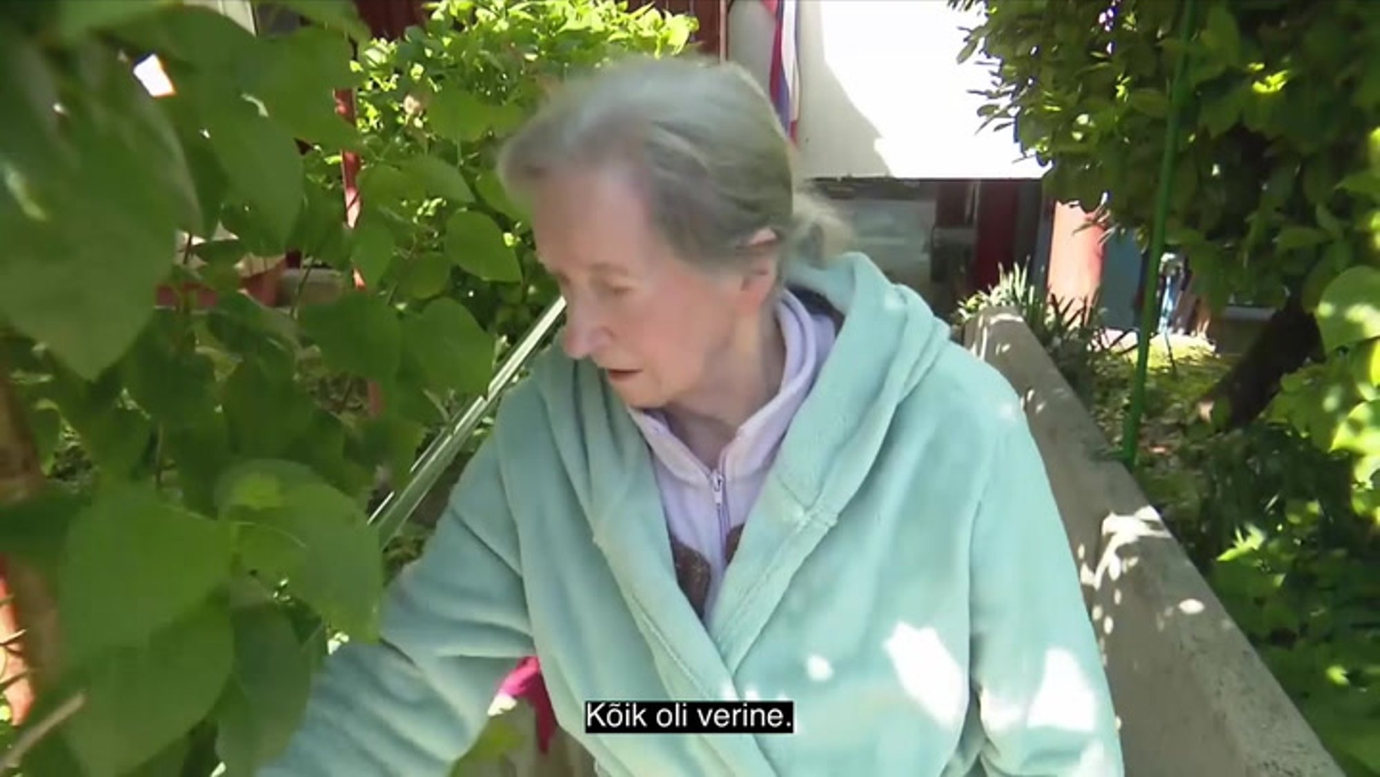 VIDEO | Karult jõhkralt pureda saanud naine võitleb haiglas oma elu eest