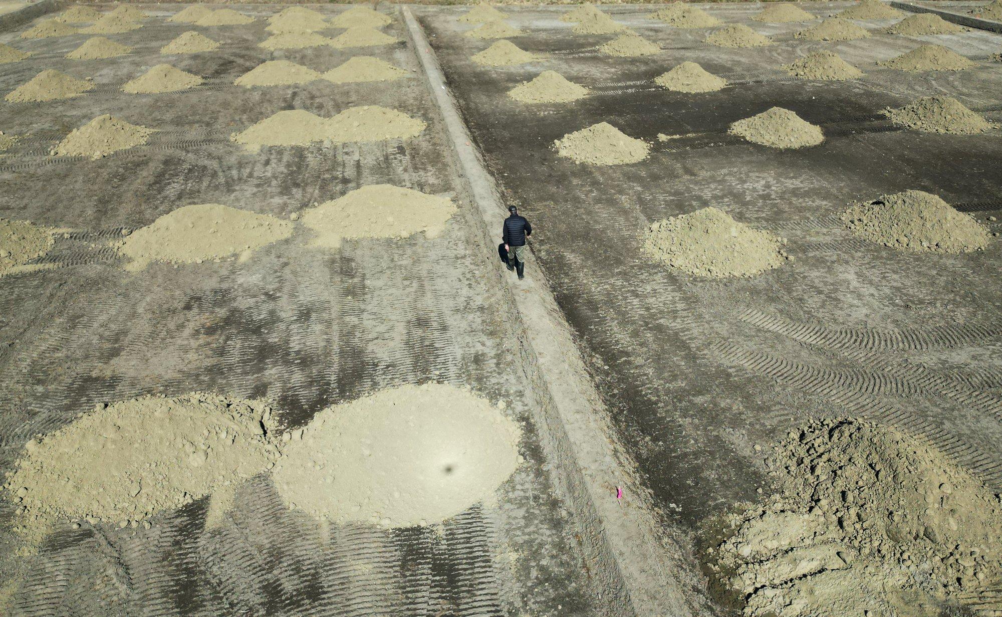 Jaapan kavatseb kasutada Fukushimast pärit mulda valitsusasutuste lillepeenardel