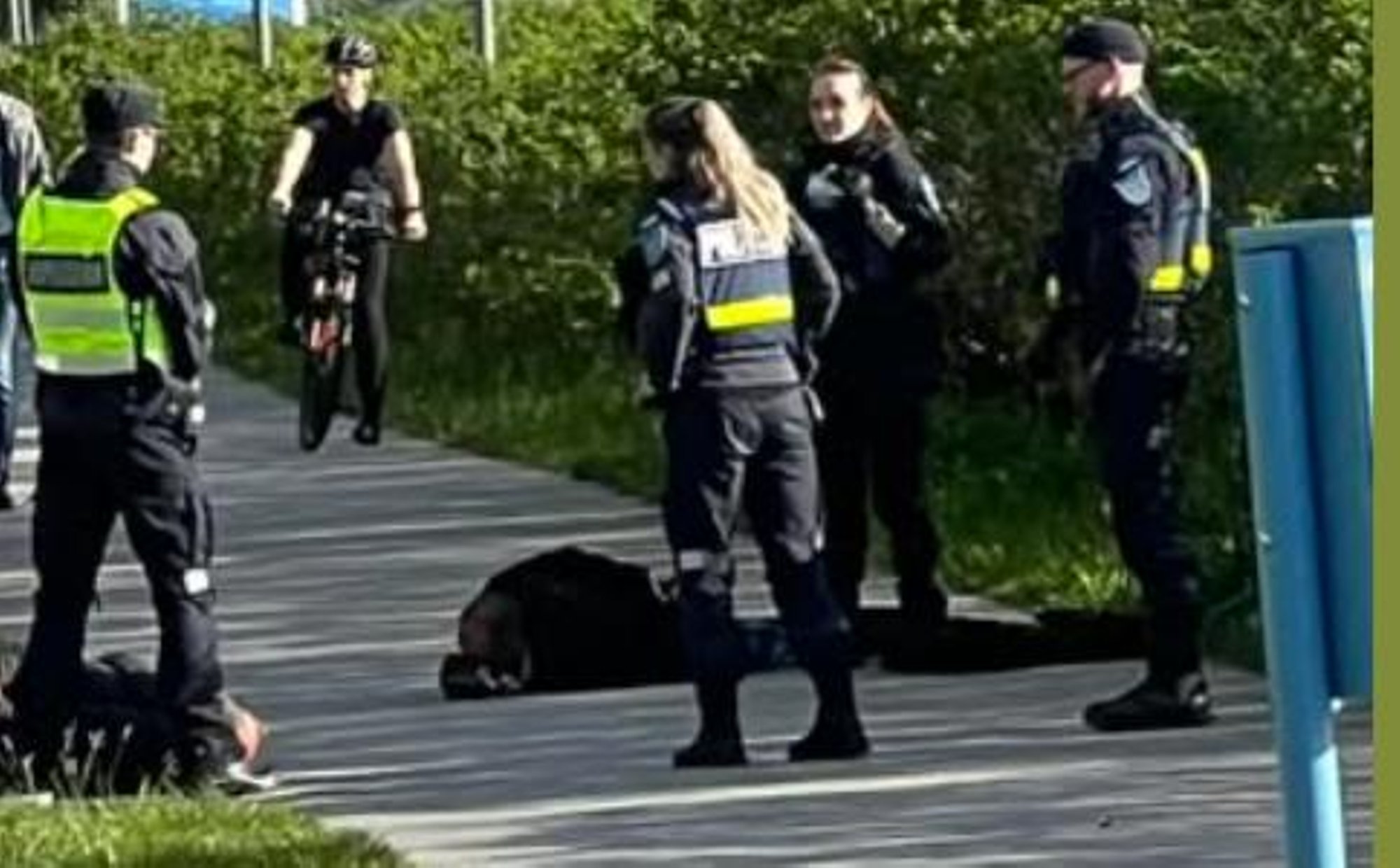 Ärev hetk Stroomi rannas: politsei pidas kinni kaks relvaga vehkinud meest