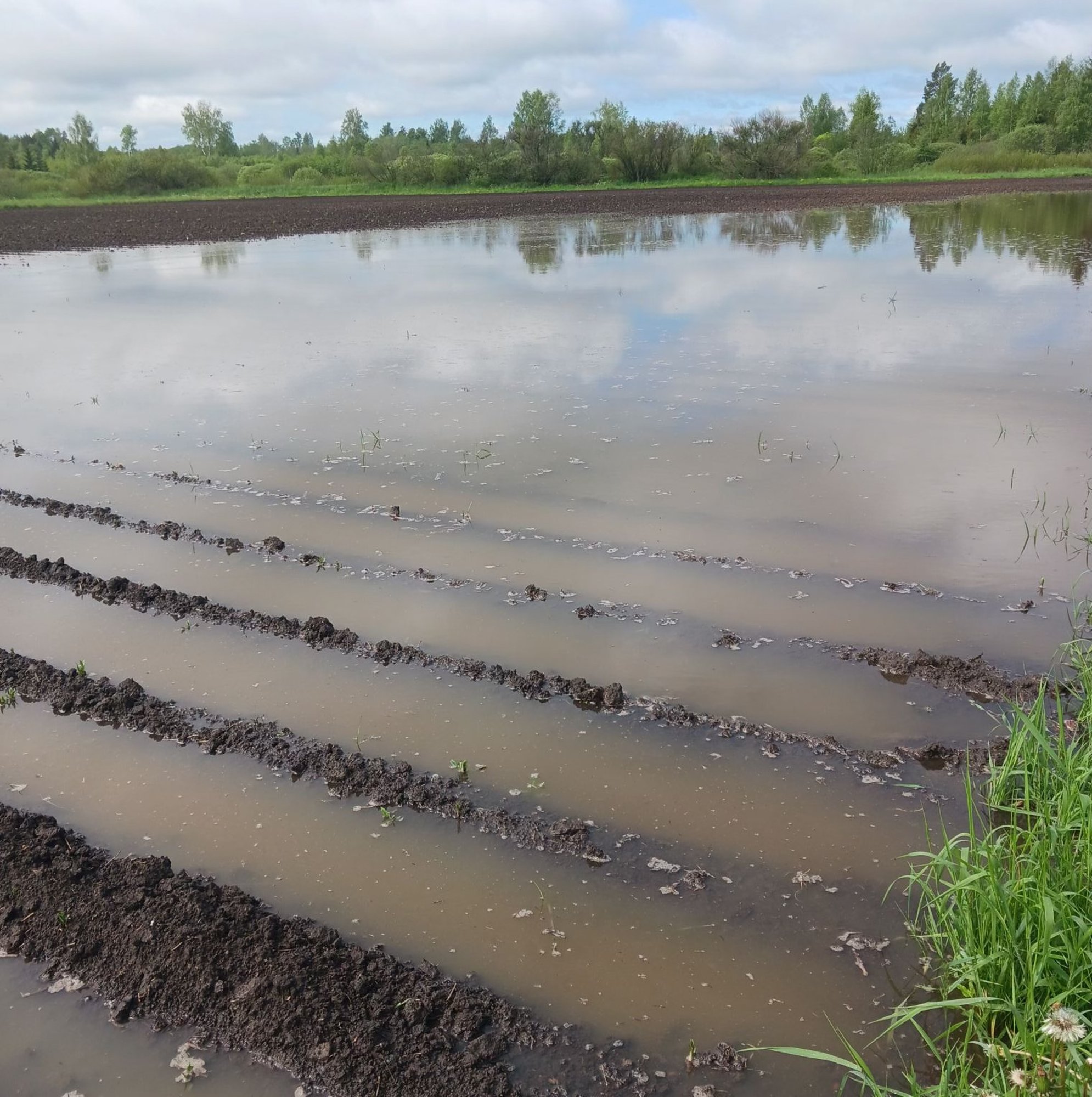 FOTOD | Uputab! Pikalt kestnud vihmasajud on põhjustanud Kagu-Eestis suuri üleujutusi