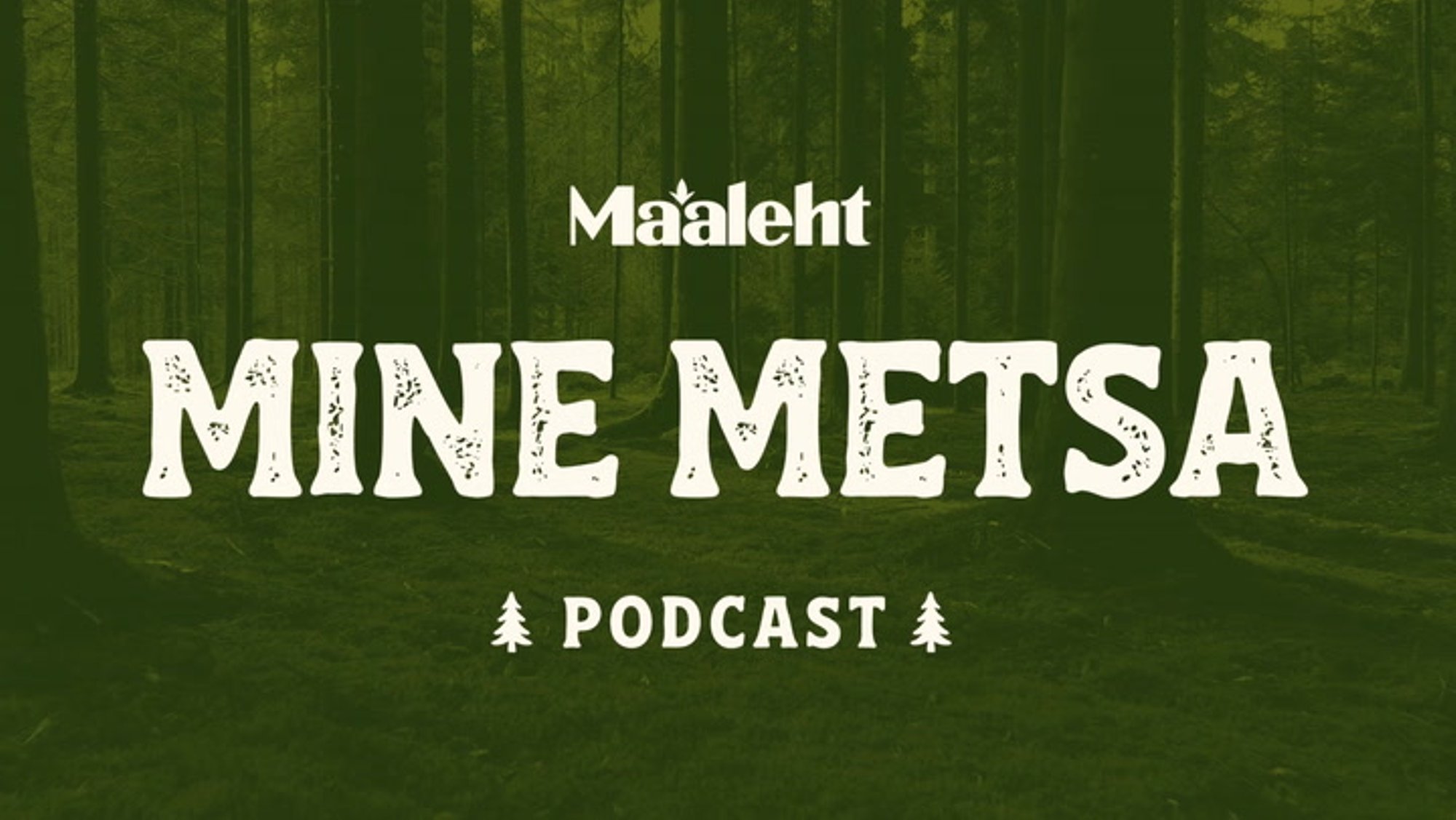 VAATA JA KUULA | Kõik oma metsaga seotud mured saab metsaomanik usaldada metsaühistule