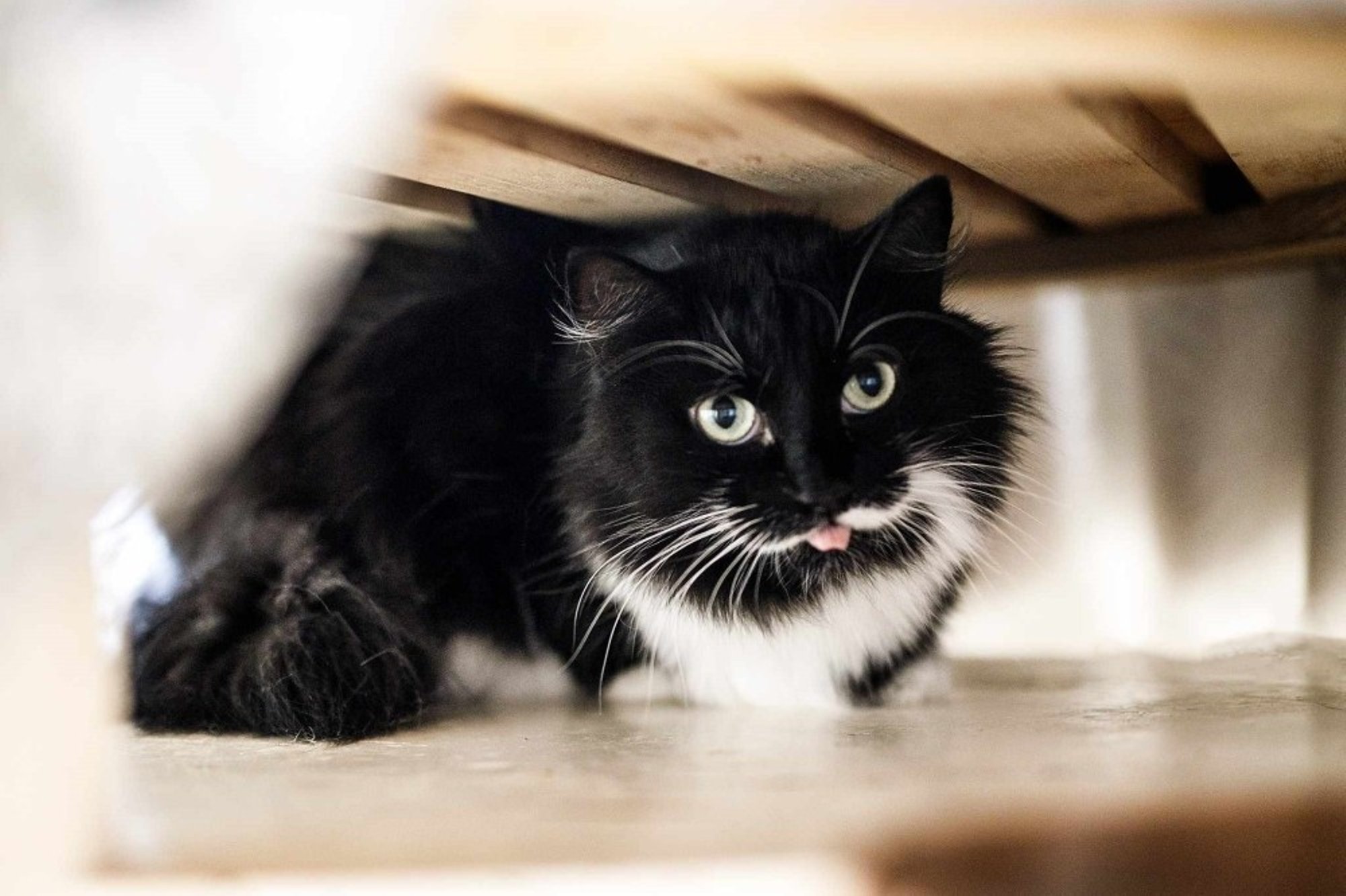 Isu sai otsa ja nahk muutus kollaseks! Piia tuli üle viia kunstlikule toitmisele