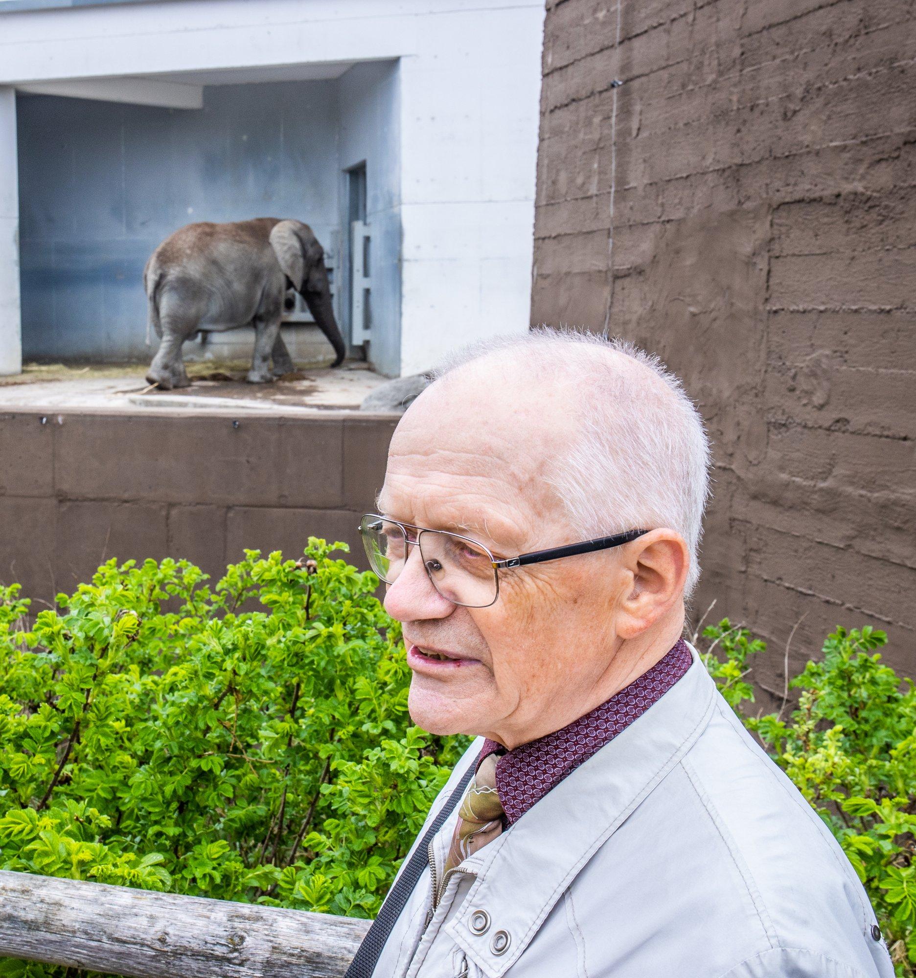 Aleksei Turovski ja Mati Kaal poliitikutele: kanade puurispidamine tuleb seadusega keelustada!
