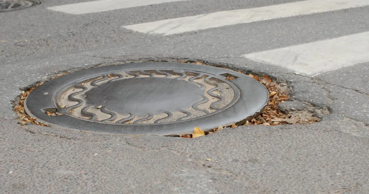 Teadlased uurivad linnateedel liikuvaid kaevuluuke