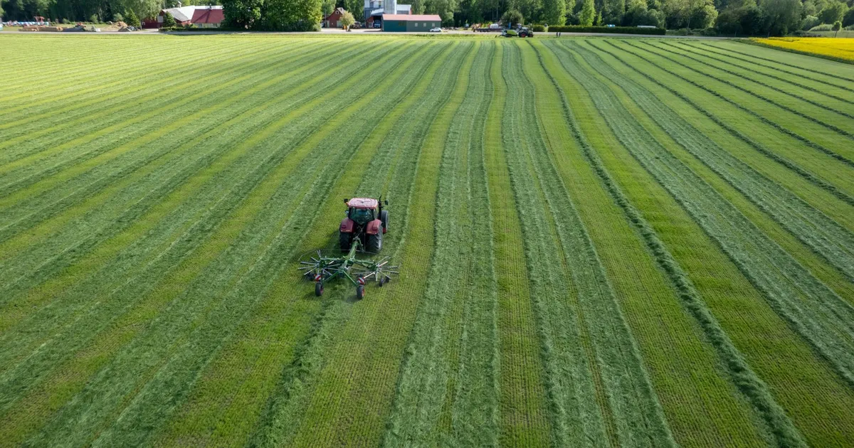 Parim aeg silotegemiseks hakkab lõppema