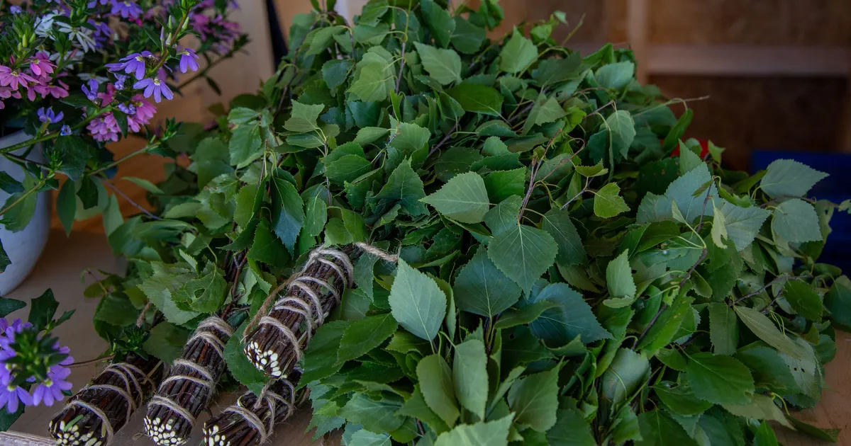 HEA NIPP ⟩ Sügavkülma pandud kaseviht pakub talvel suviseid emotsioone