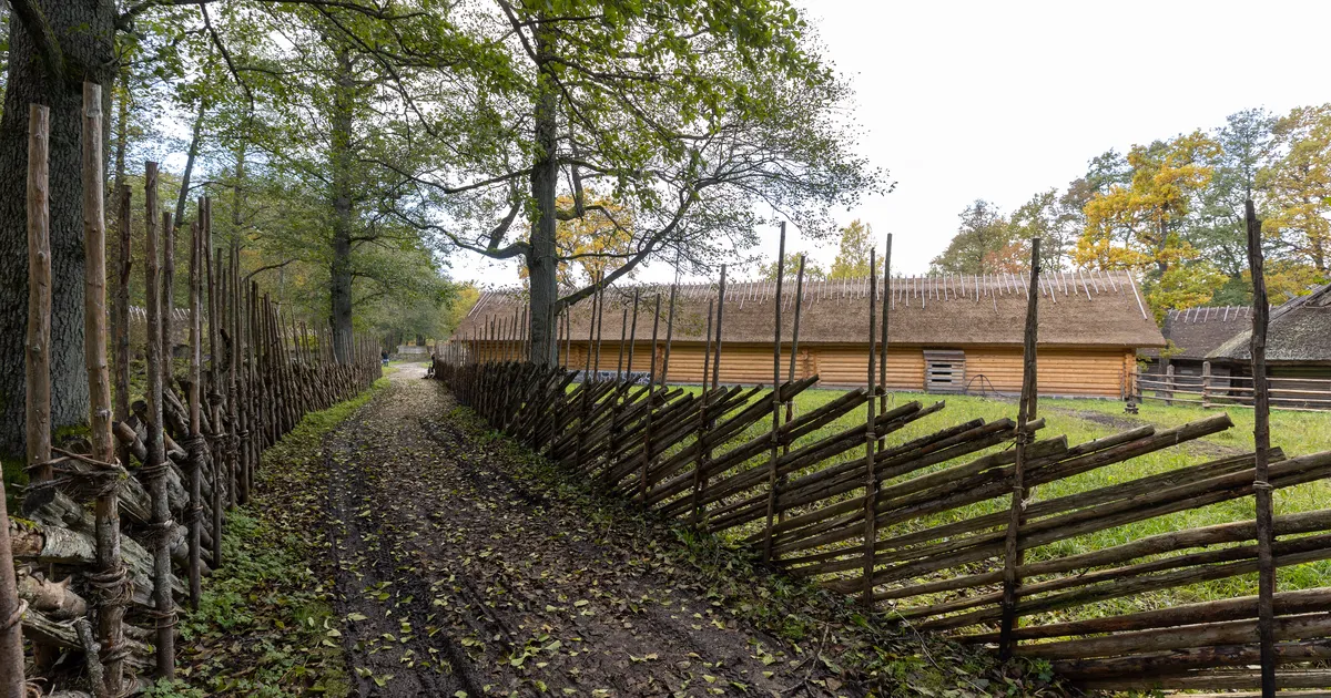 MURE ⟩ Eesti muuseumitöötajad kardavad poliitilist survet