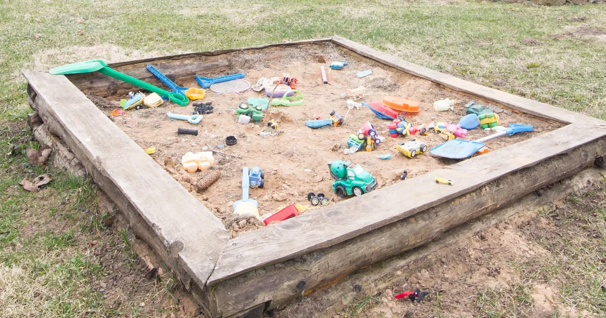 Ott Järvela ⟩ Palun kutsuge täiskasvanu!