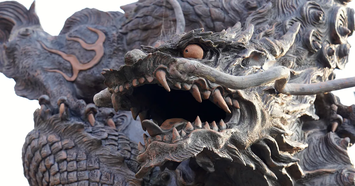 VIDEOD ⟩ Eksperdid lahendasid Jaapani šoguni «mumifitseeritud draakoni» mõistatuse