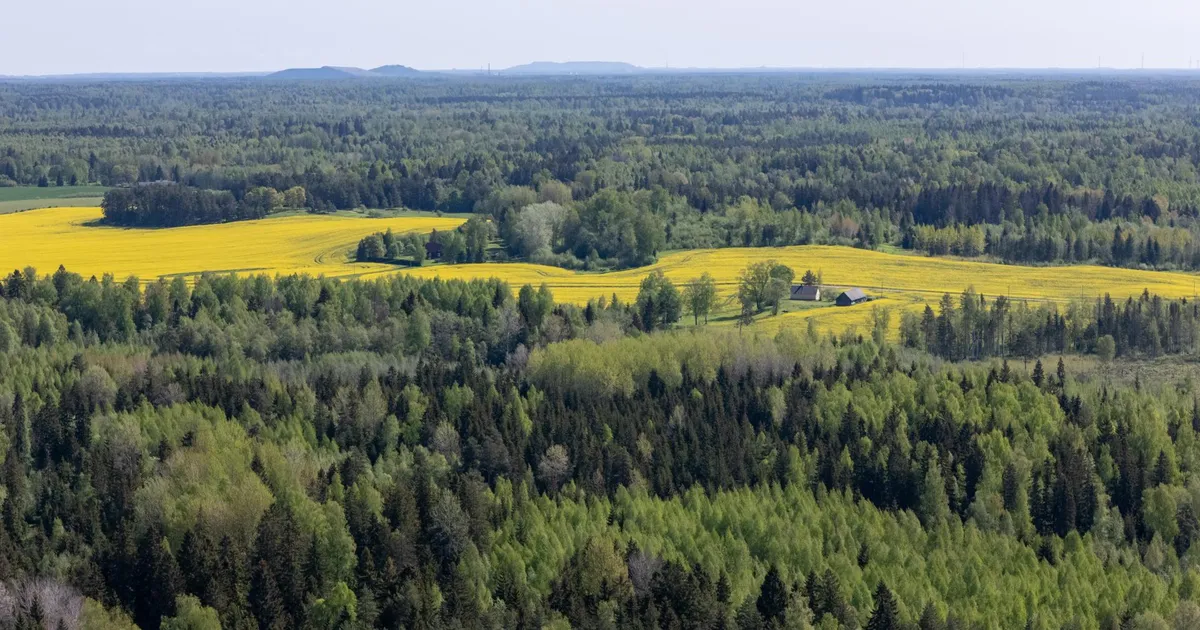 AEGRUUM ⟩ 1952. aasta salajane projekt: Virumaale pidid tulema Idalinn ja Koidulinn