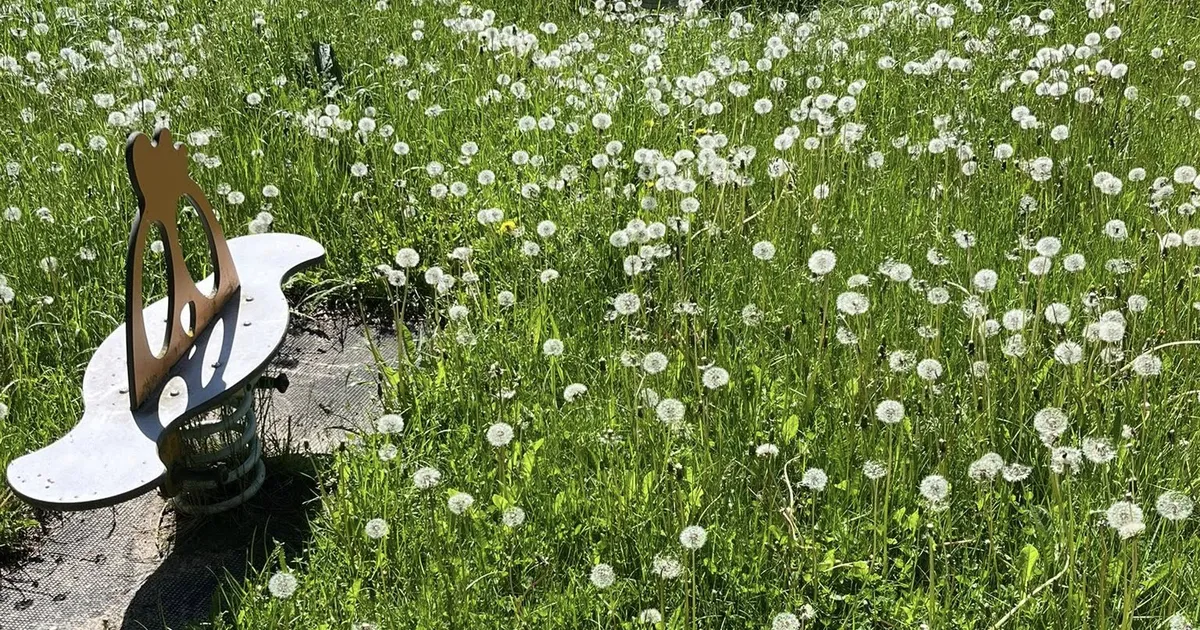 MURUMURE ⟩ Lapsevanemat pahandas niitmata plats mänguväljaku juures, kogukond leidis ise lahenduse