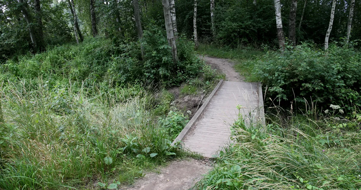 Riigikohus: Tartu linn tohib Emajõe äärde matkaraja ehitada ka siis, kui omanikud seda ei taha