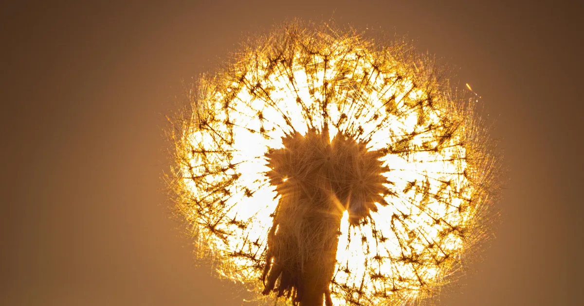 NÄDALAPRGNOOS ⟩ Käes on üks kaunis võimaluste nädal: võib saabuda häid uudiseid