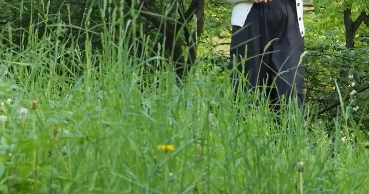 VIDEOLUGU ⟩ Elanikud on mures piinlikult räpaste parkide pärast. «See pole elurikkus, vaid toome puugid linna projekt!»