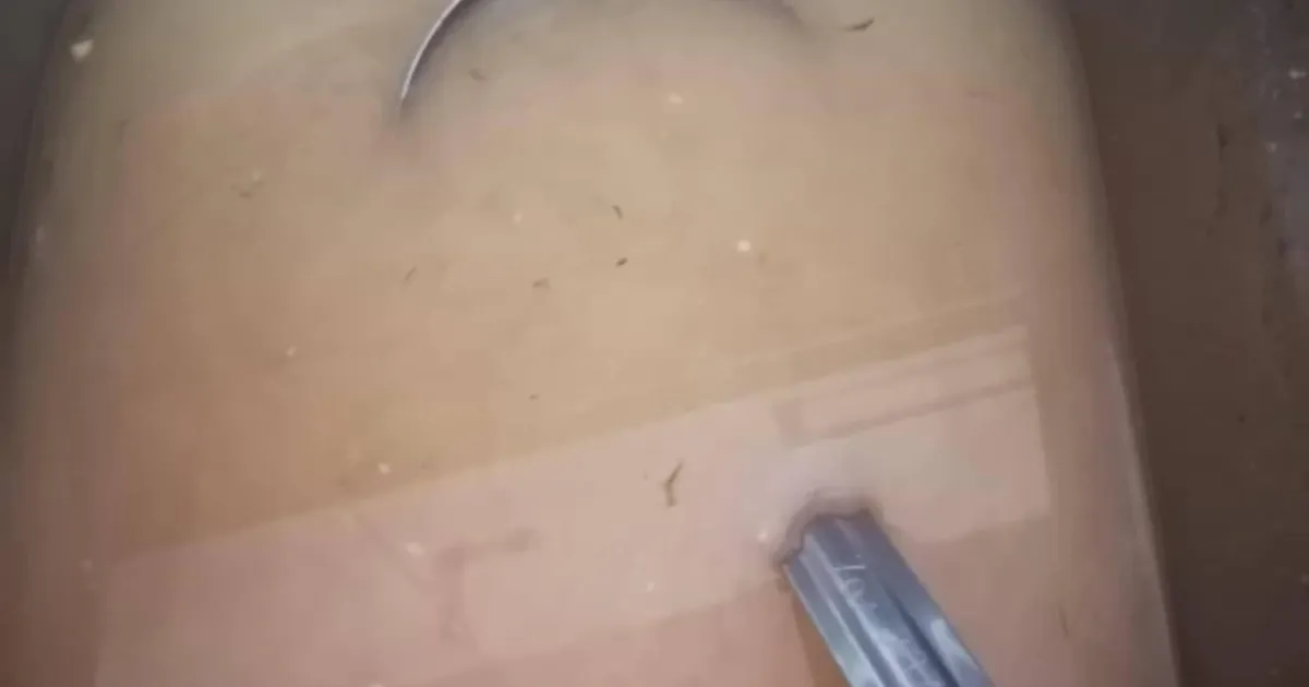 TOIDUKRIIS PÄRNU LASTEAEDADES ⟩ Mudilased ei saanud teist päeva järjest normaalselt süüa