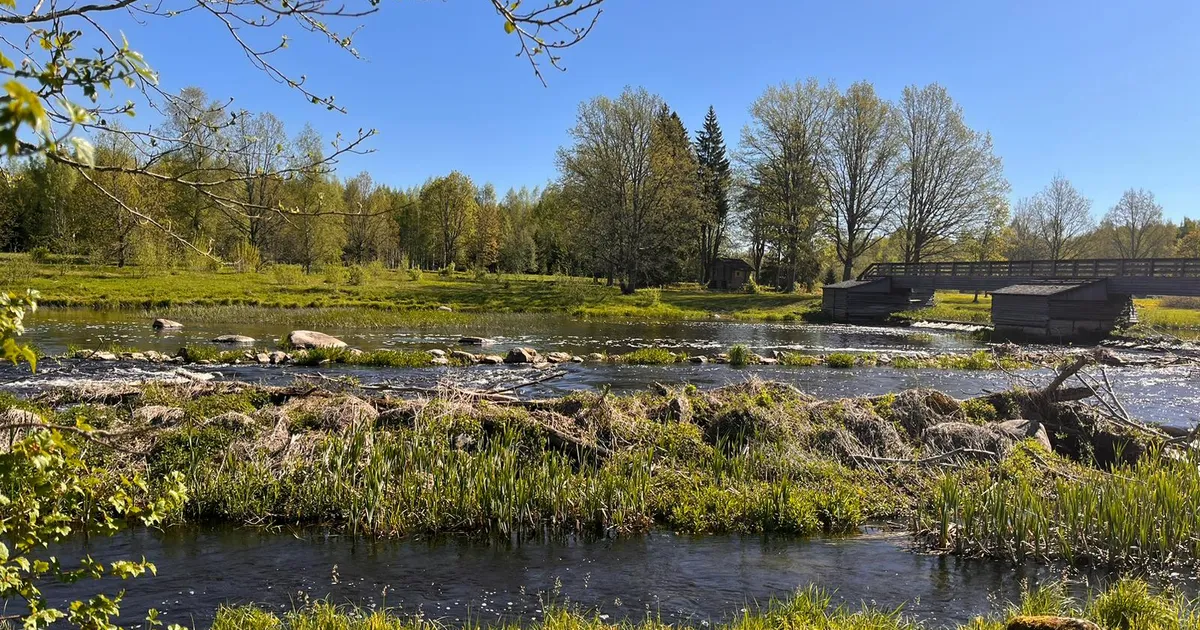 Kurgjal avatakse laupäeval uus loodusõpperada