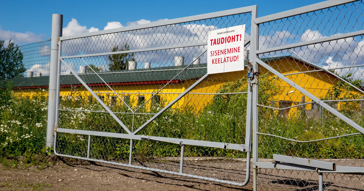 Eriti ohtlike loomataudide ennetus saab kolm miljonit eurot lisaks