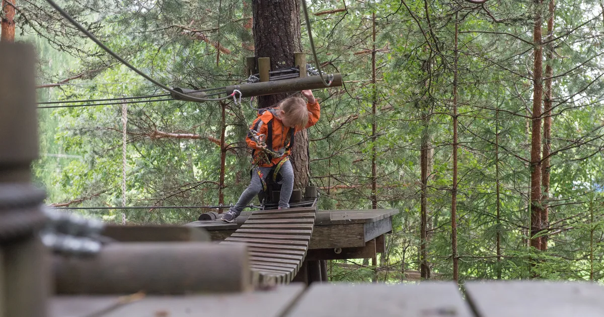 SEIKLUSPARKIDE VÕRDLUS ⟩ Kus asub Eesti kõige taskukohasem seikluspark?