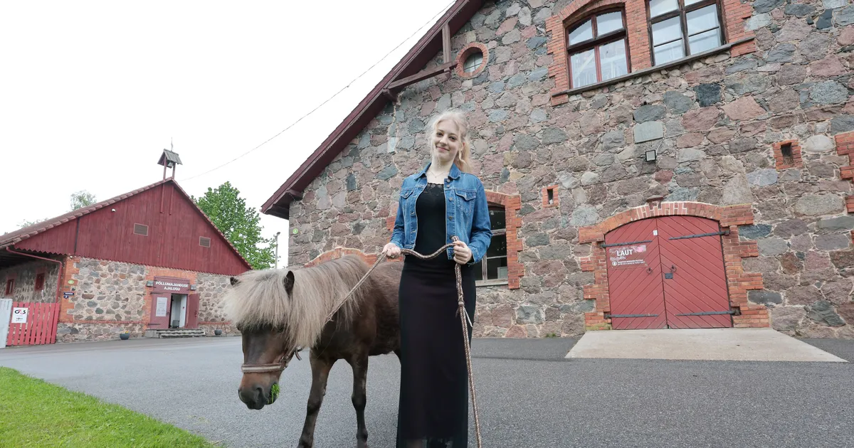 Sajad noored teevad suvel malevas tööd