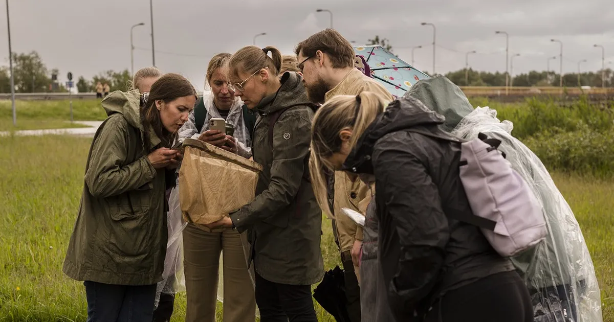Nädalavahetusel võib linna elurikkust lähemalt uurida