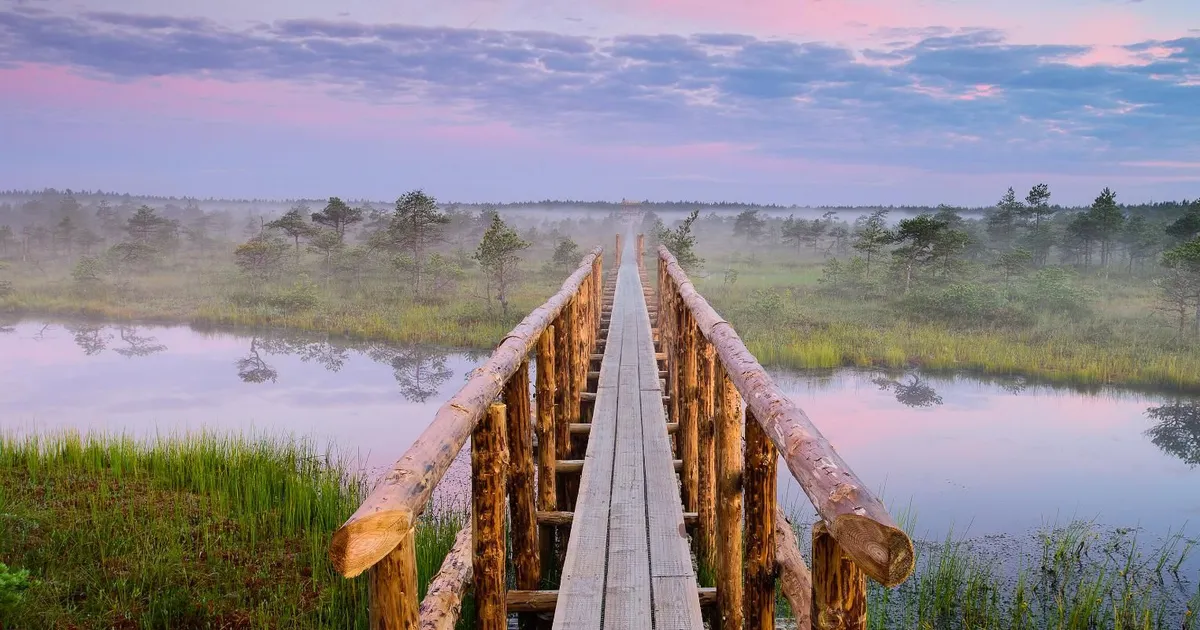 Loodusesse targalt: peamised reeglid, mida iga matkaja peaks teadma