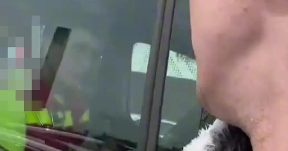 ÜHENE HUKKAMÕIST ⟩ Tiktokkeri video sobimatust käitumisest kiirabiga pälvib halvakspanu: ta tuleks tühistada!