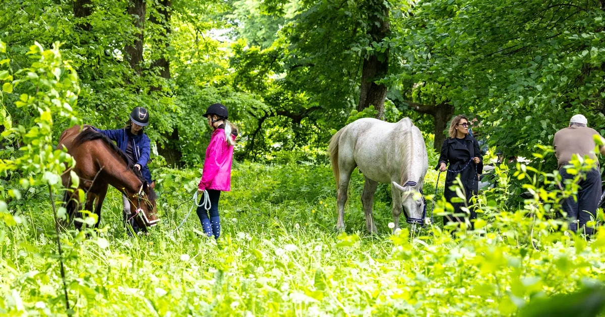 Uued linnaniitjad said Emajõe ääres esimese tööampsu