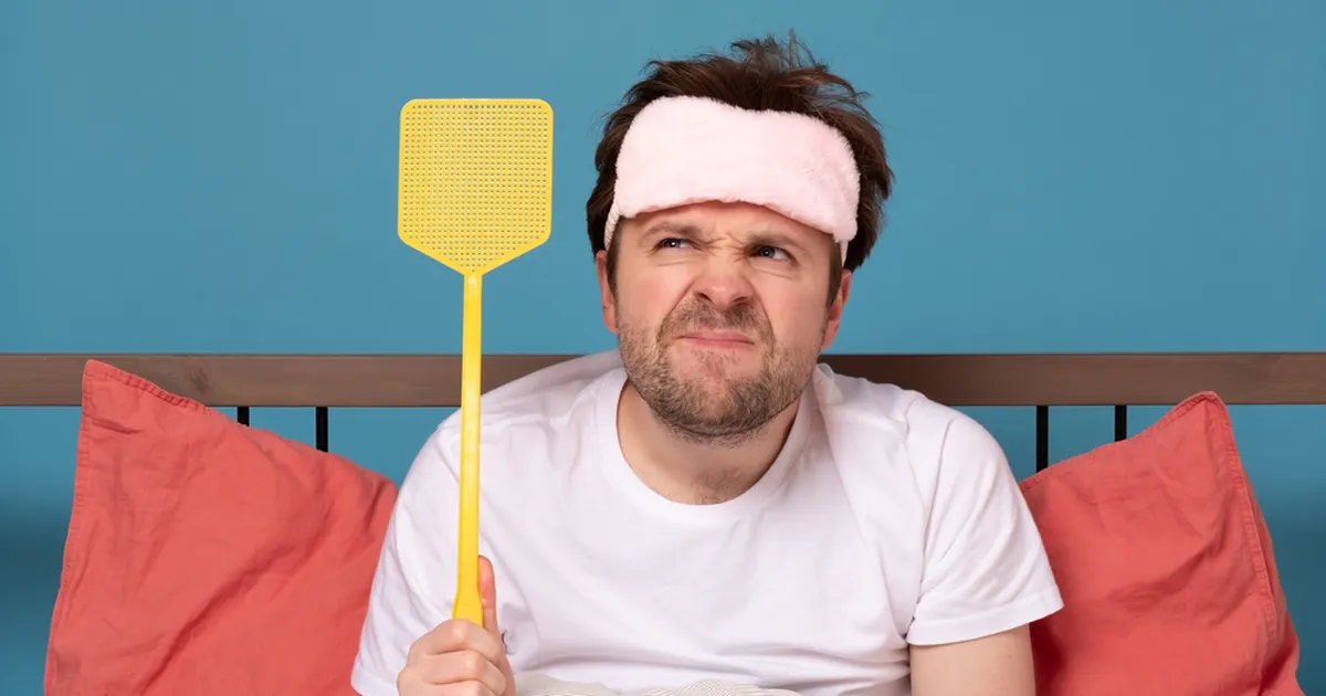 SUVINE NUHTLUS ⟩ Kuidas pinisevad sääsed toas üles leida ja neist vabaneda?