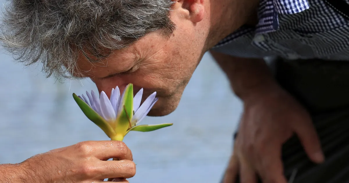 HUVITAV ⟩ Muuseum kutsub sind nuusutama loomade tagumikke