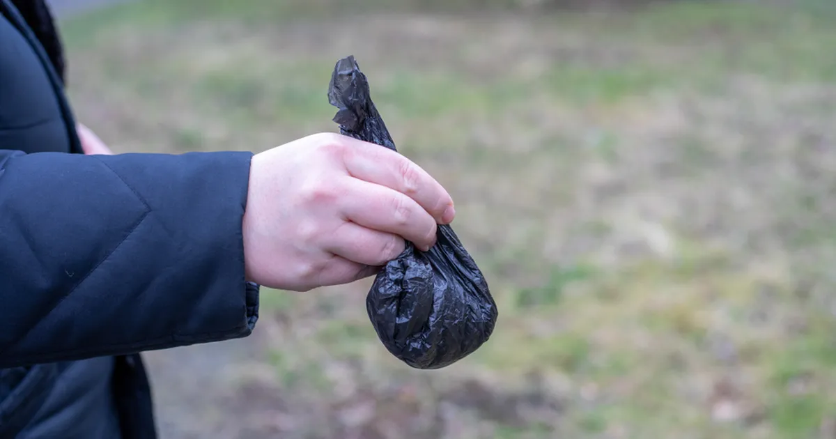 VIDEO ⟩ Naise kaval kättemaks koera väljaheiteid koristamata jätnud naabrile pani interneti kihama