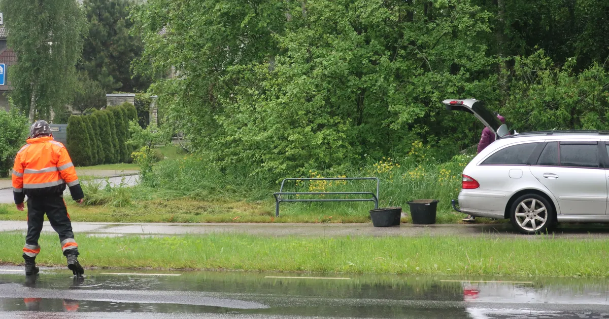 Pingihullus Tallinnas – istujad vaataksid vastas oleva maja vannituppa ja kükitaksid looduskaitse all olevate kuklaste kõrval