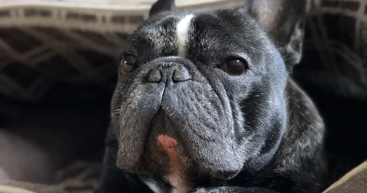 EMOTSIONAALNE LUGU ⟩ Perenaine: «Tulin koju, ta lamas oma pissiloigu sees ning sel hetkel mõtlesin, et olen hiljaks jäänud»