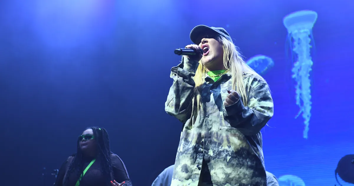 KOHUTAV ⟩ Austraalia popstaari koer tungis naabri koerale kallale ja rebis ta tükkideks