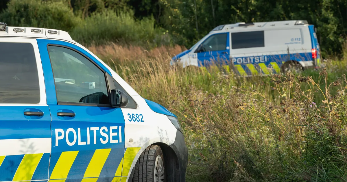 POLITSEI PALUB ABI ⟩ Harjumaal leiti kraavist raskes seisus teadvusetu mees